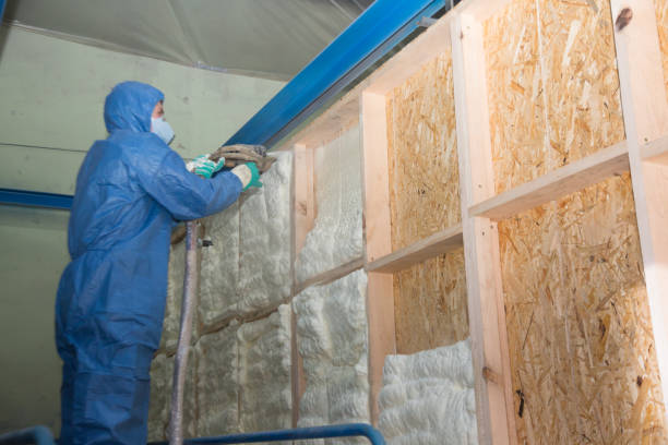 Best Insulation Replacement Services  in Bethpage, NY