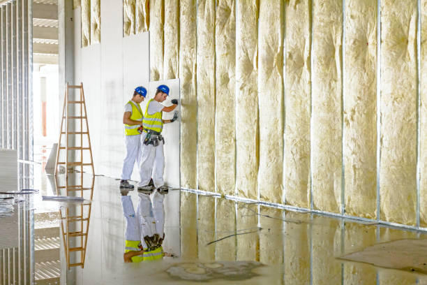 Best Soundproof Insulation Installation  in Bethpage, NY
